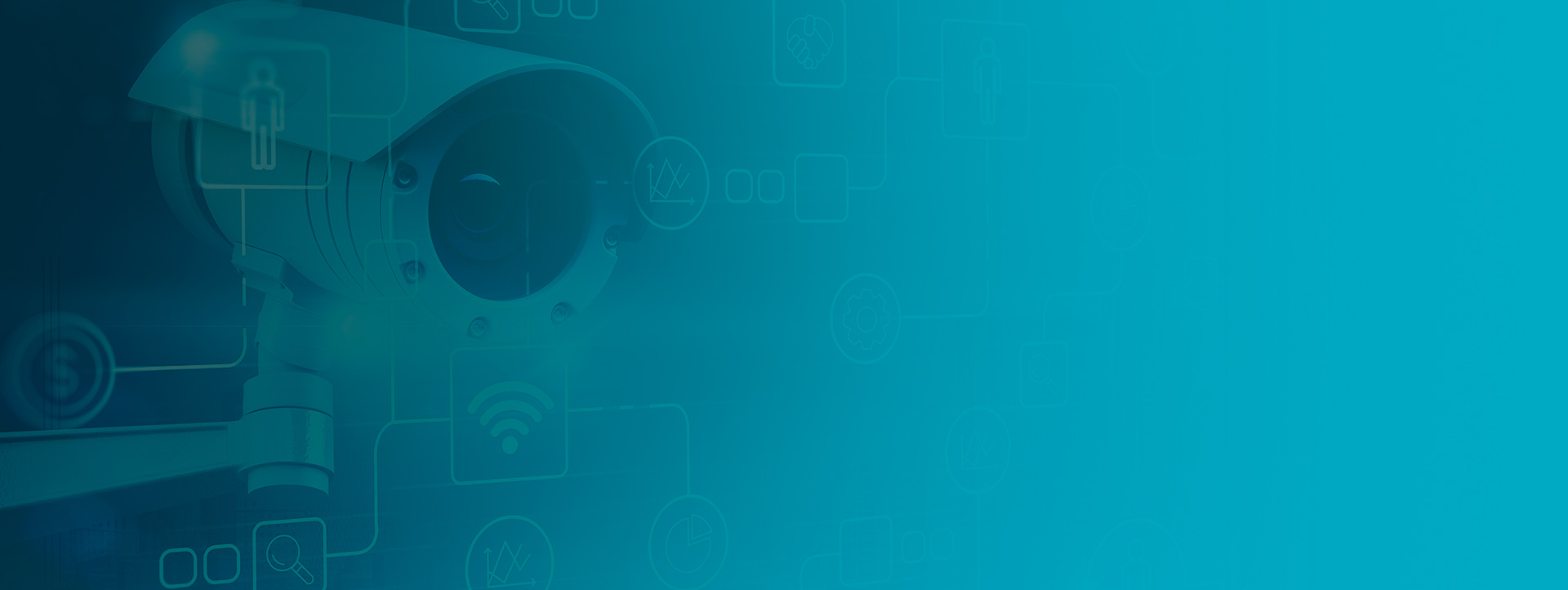 servicio de videovigilancia