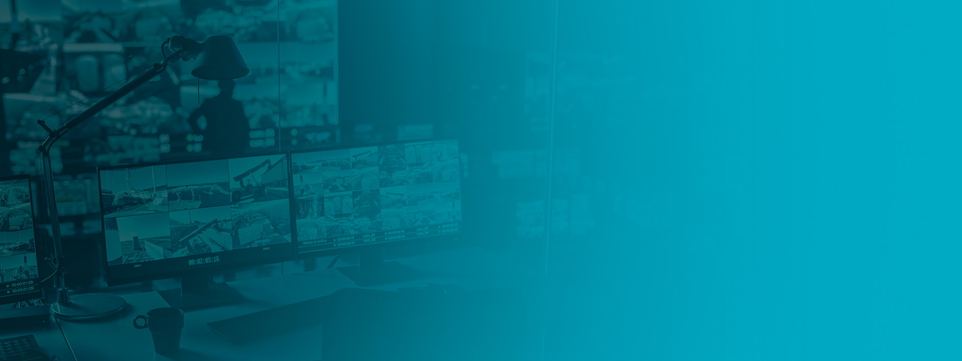 servicio de videovigilancia