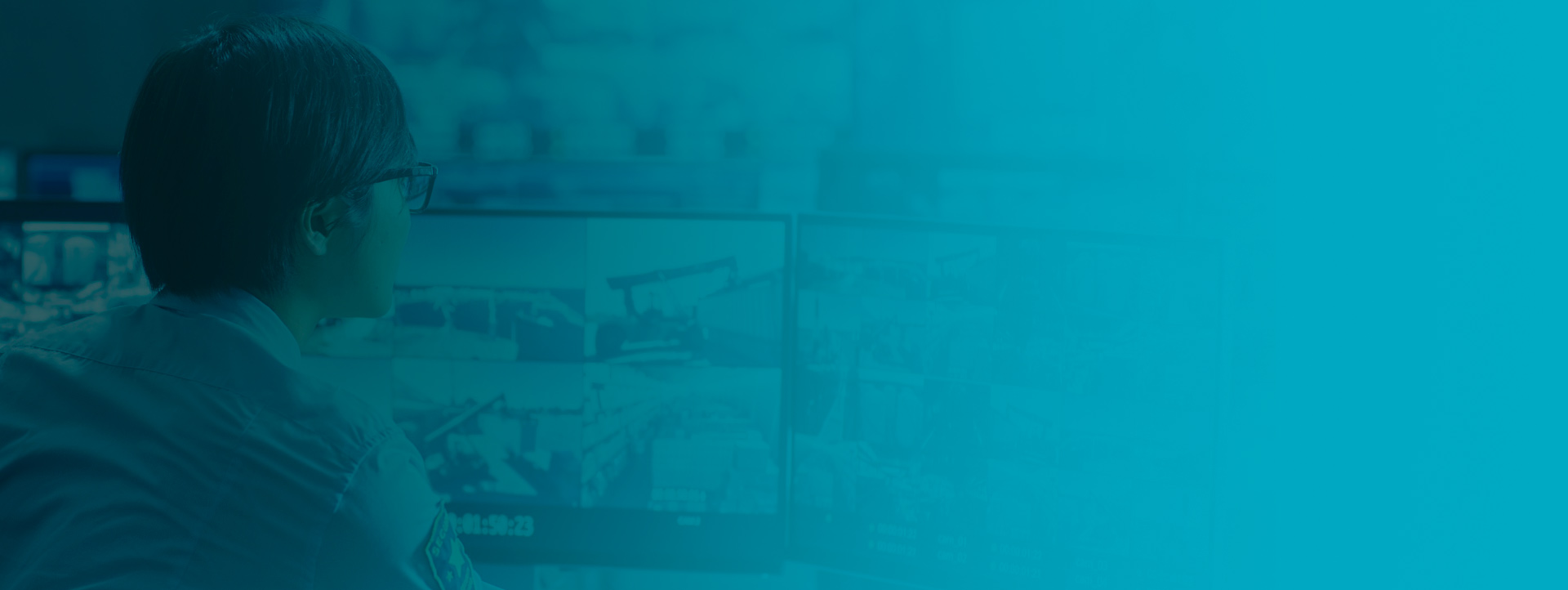 servicio de videovigilancia