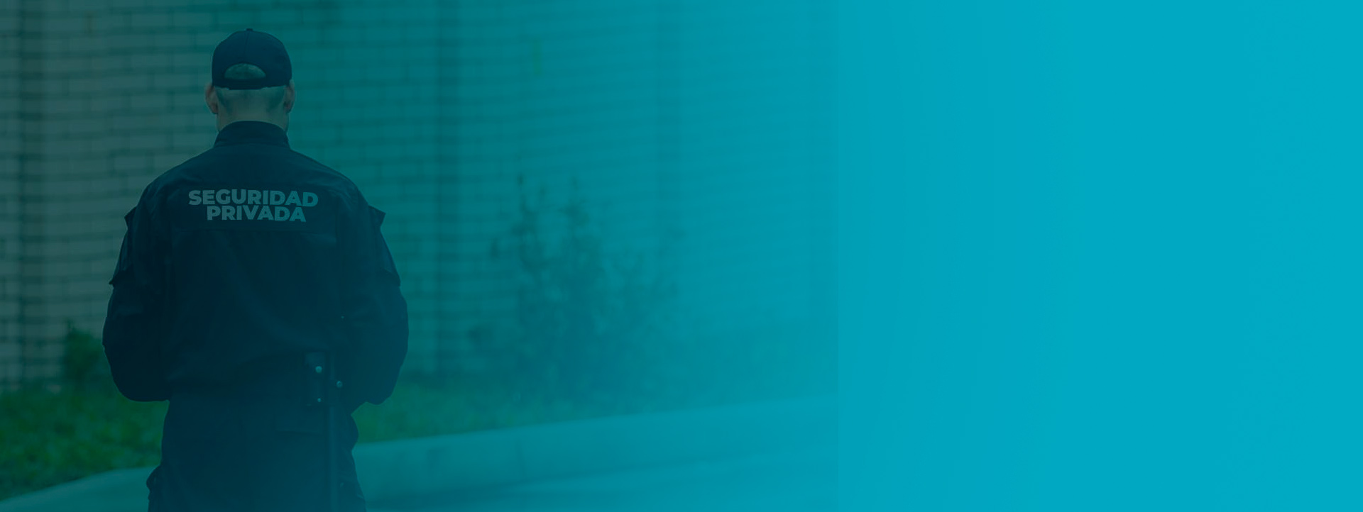 servicio de videovigilancia